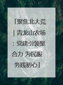 聚焦北大荒｜青龙山农场：党建引领聚合力 为民服务践初心