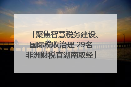 聚焦智慧税务建设、国际税收治理 29名非洲财税官湖南取经