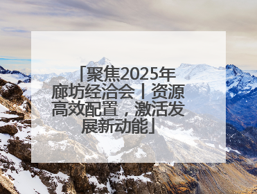 聚焦2025年廊坊经洽会丨资源高效配置，激活发展新动能