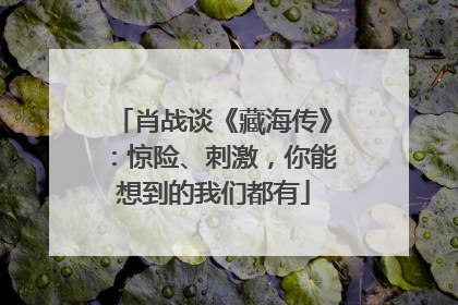 肖战谈《藏海传》：惊险、刺激，你能想到的我们都有