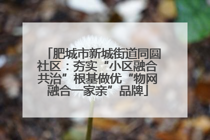 肥城市新城街道同圆社区：夯实“小区融合共治”根基做优“物网融合一家亲”品牌
