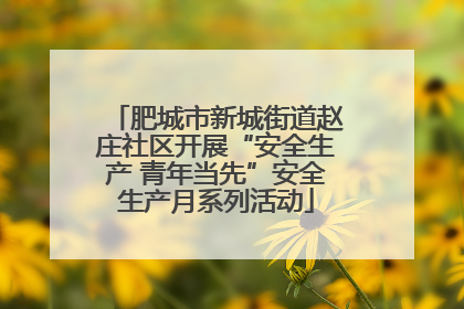 肥城市新城街道赵庄社区开展“安全生产 青年当先”安全生产月系列活动