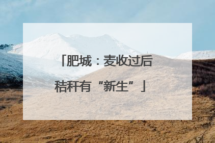 肥城：麦收过后秸秆有“新生”