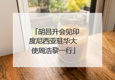 胡昌升会见印度尼西亚驻华大使周浩黎一行