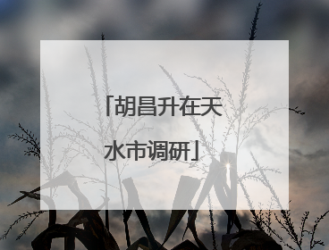 胡昌升在天水市调研