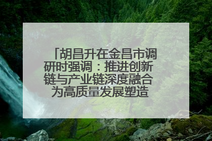 胡昌升在金昌市调研时强调：推进创新链与产业链深度融合 为高质量发展塑造新动能新优势