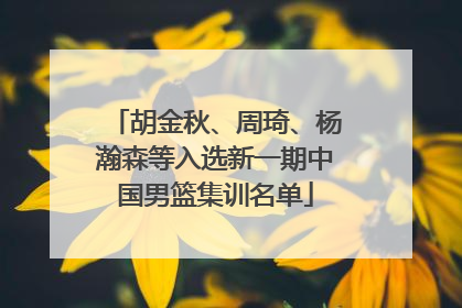 胡金秋、周琦、杨瀚森等入选新一期中国男篮集训名单