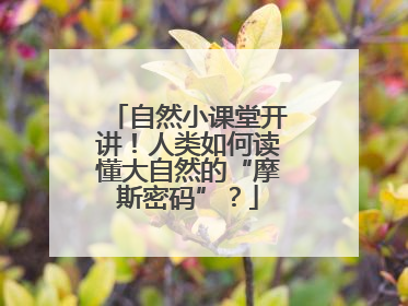 自然小课堂开讲！人类如何读懂大自然的“摩斯密码”？