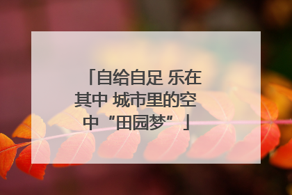 自给自足 乐在其中 城市里的空中“田园梦”