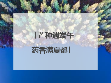 芒种遇端午 药香满夏都