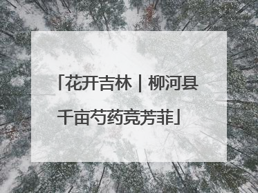花开吉林｜柳河县千亩芍药竞芳菲