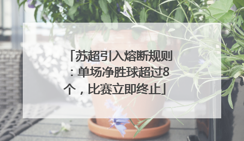苏超引入熔断规则：单场净胜球超过8个，比赛立即终止