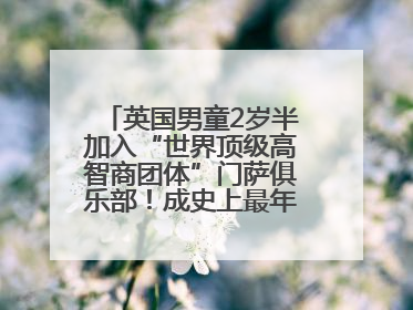 英国男童2岁半加入“世界顶级高智商团体”门萨俱乐部！成史上最年轻男性会员