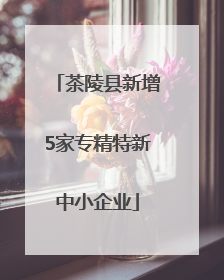 茶陵县新增5家专精特新中小企业