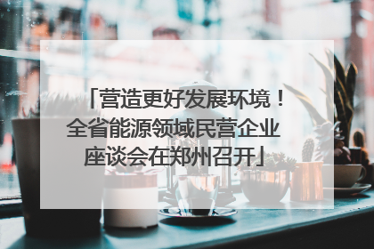 营造更好发展环境！全省能源领域民营企业座谈会在郑州召开