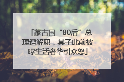 蒙古国“80后”总理遭解职，其子此前被曝生活奢华引众怒
