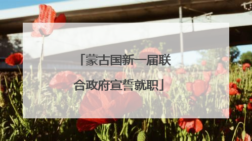 蒙古国新一届联合政府宣誓就职