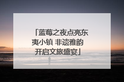 蓝莓之夜点亮东夷小镇 非遗雅韵开启文旅盛宴