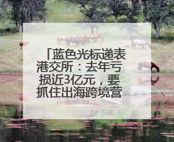 蓝色光标递表港交所：去年亏损近3亿元，要抓住出海跨境营销机遇
