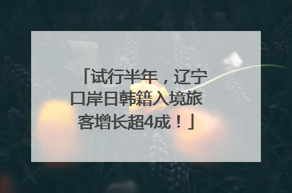 试行半年，辽宁口岸日韩籍入境旅客增长超4成！