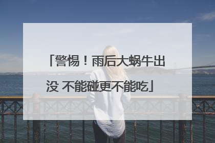 警惕！雨后大蜗牛出没 不能碰更不能吃