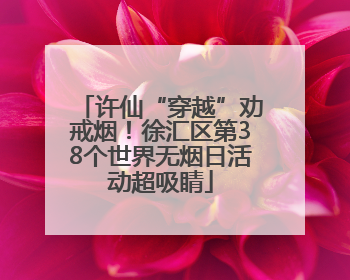 许仙“穿越”劝戒烟！徐汇区第38个世界无烟日活动超吸睛