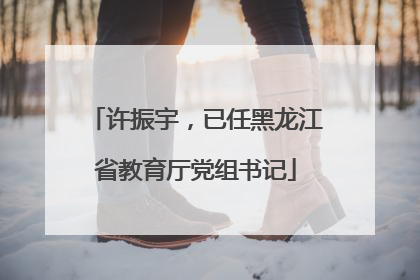 许振宇，已任黑龙江省教育厅党组书记