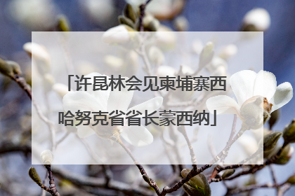 许昆林会见柬埔寨西哈努克省省长蒙西纳