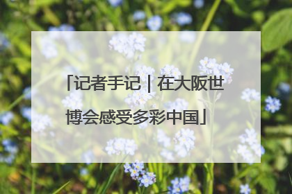 记者手记｜在大阪世博会感受多彩中国