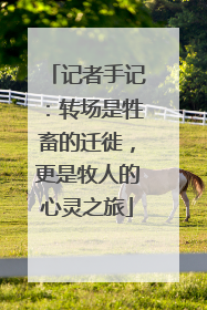 记者手记：转场是牲畜的迁徙，更是牧人的心灵之旅