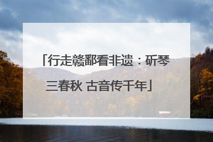 行走赣鄱看非遗：斫琴三春秋 古音传千年