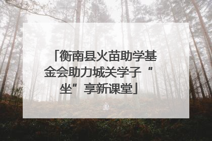 衡南县火苗助学基金会助力城关学子“坐”享新课堂