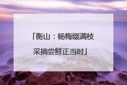 衡山：杨梅缀满枝 采摘尝鲜正当时