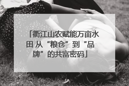衢江山农赋能万亩水田 从“粮仓”到“品牌”的共富密码