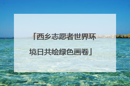 西乡志愿者世界环境日共绘绿色画卷