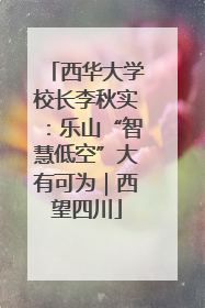 西华大学校长李秋实：乐山“智慧低空”大有可为｜西望四川