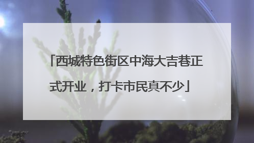 西城特色街区中海大吉巷正式开业，打卡市民真不少