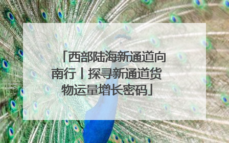 西部陆海新通道向南行丨探寻新通道货物运量增长密码