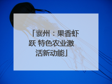 襄州：果香虾跃 特色农业激活新动能