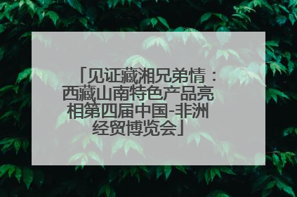 见证藏湘兄弟情：西藏山南特色产品亮相第四届中国-非洲经贸博览会