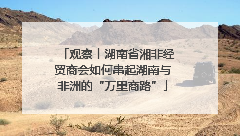 观察丨湖南省湘非经贸商会如何串起湖南与非洲的“万里商路”