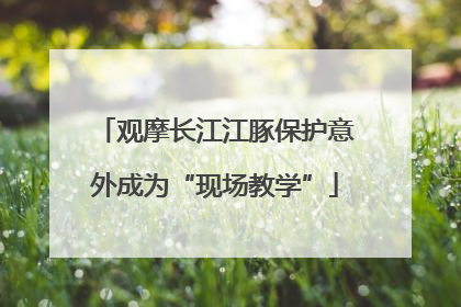 观摩长江江豚保护意外成为“现场教学”