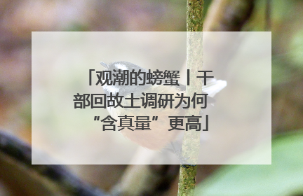 观潮的螃蟹丨干部回故土调研为何“含真量”更高