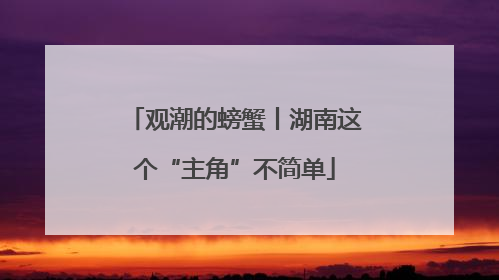 观潮的螃蟹丨湖南这个“主角”不简单