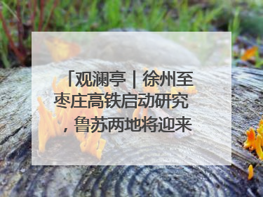 观澜亭｜徐州至枣庄高铁启动研究，鲁苏两地将迎来交通经济双利好