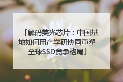 解码美光芯片：中国基地如何用产学研协同重塑全球SSD竞争格局