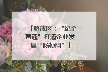 解放区：“纪企直通”打通企业发展“肠梗阻”