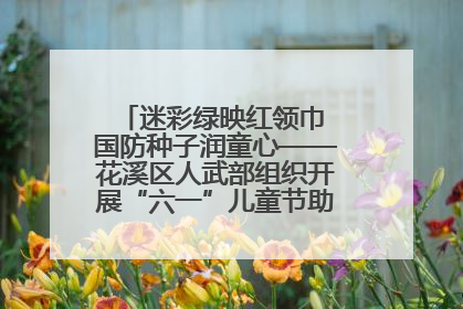 迷彩绿映红领巾 国防种子润童心——花溪区人武部组织开展“六一”儿童节助学兴教活动