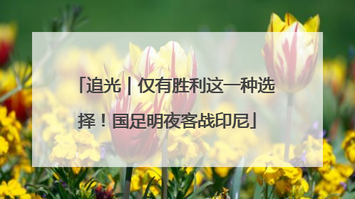 追光｜仅有胜利这一种选择！国足明夜客战印尼