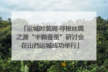 运城时装周·寻根丝绸之源“半颗蚕茧”研讨会在山西运城成功举行